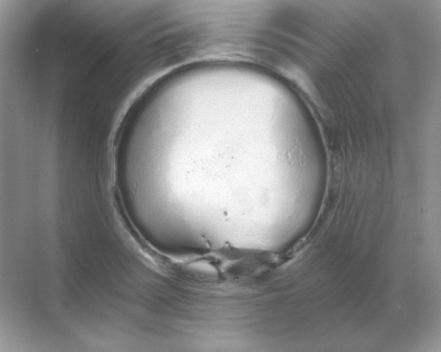 X0000068731371200605192308