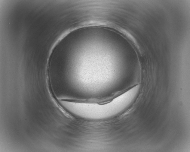 X0000068731373200605192308