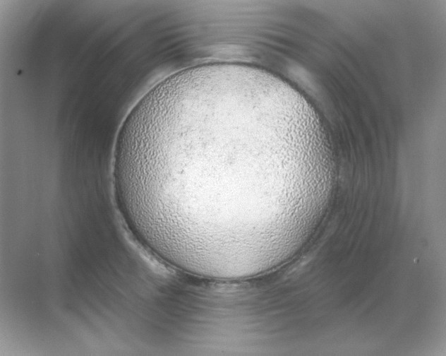 X0000068731378200605192308