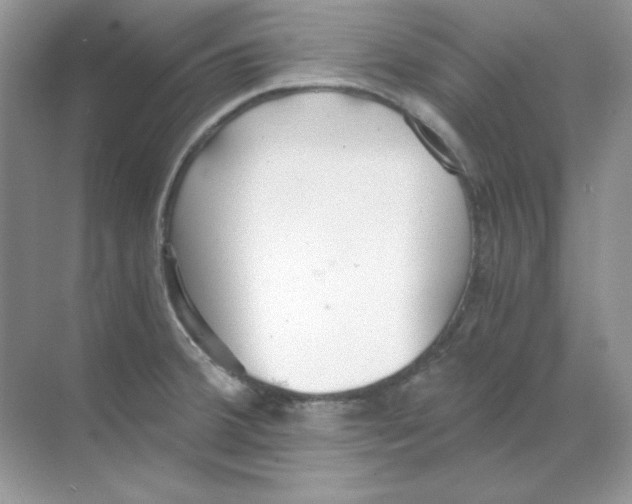 X0000068731380200605192308