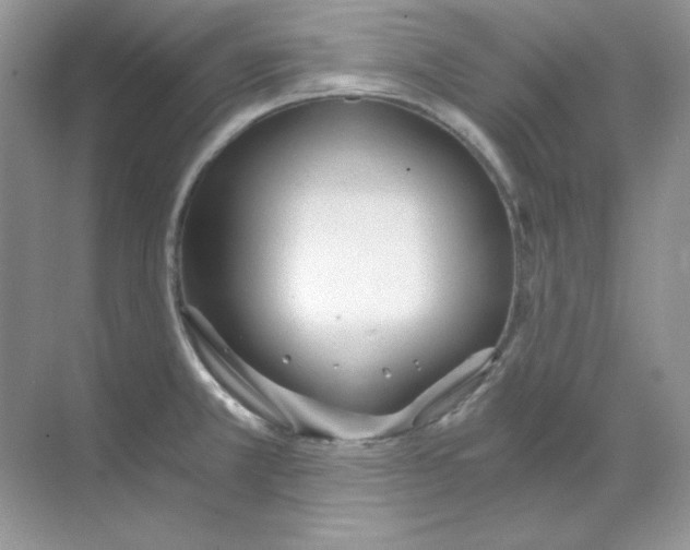 X0000068731381200605192308