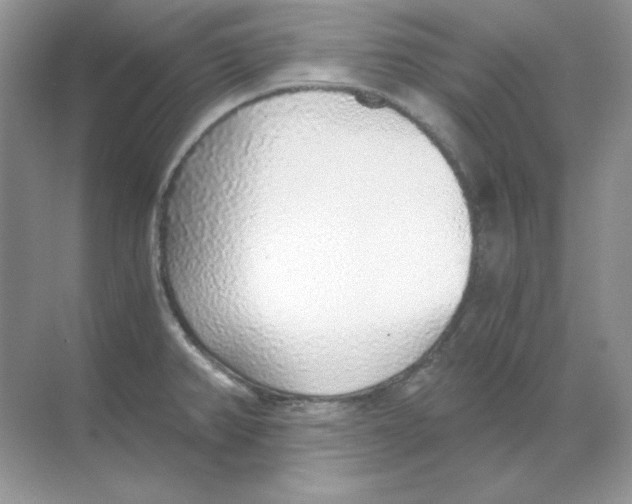 X0000068731382200605192308