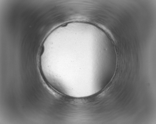 X0000068731383200605192308