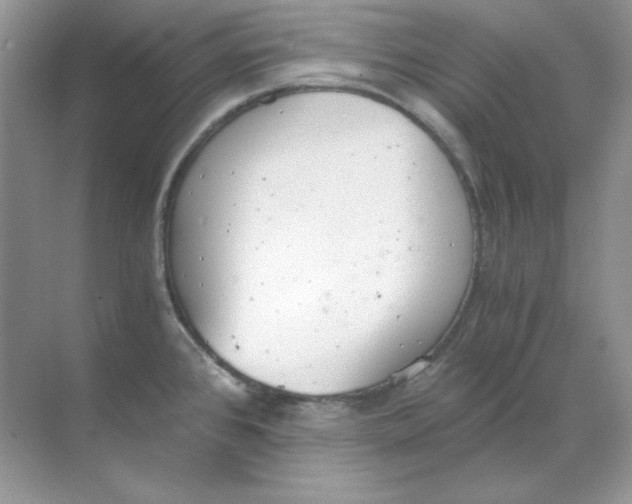 X0000068731384200605192308