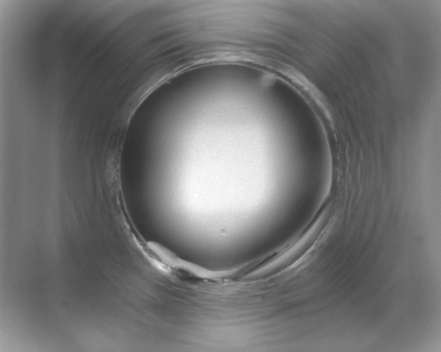 X0000068731385200605192308