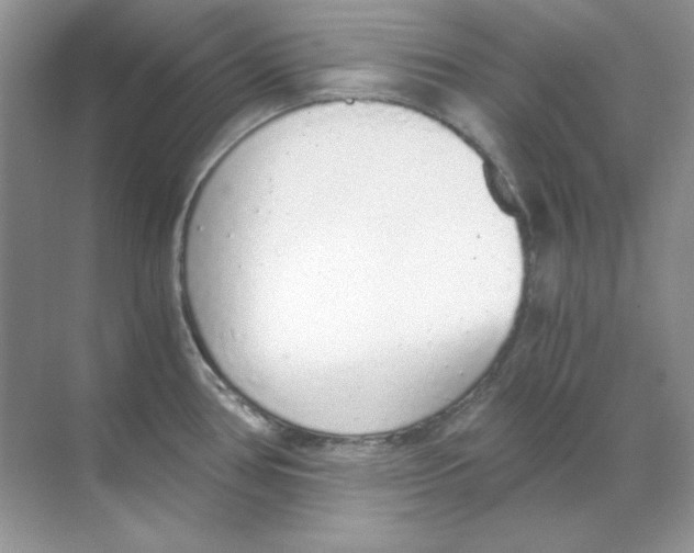 X0000068731386200605192308