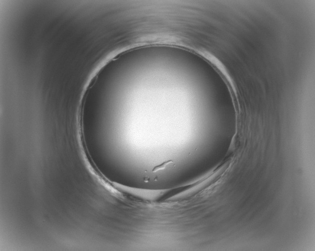 X0000068731389200605192308