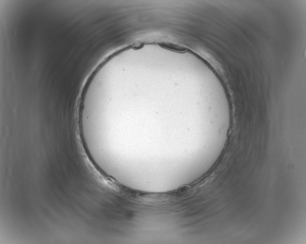 X0000068731392200605192308