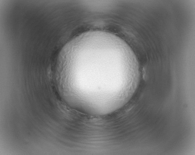 X0000068731395200605192307