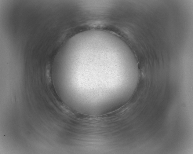 X0000068731396200605192307