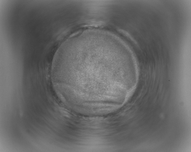 X0000068731399200605192307