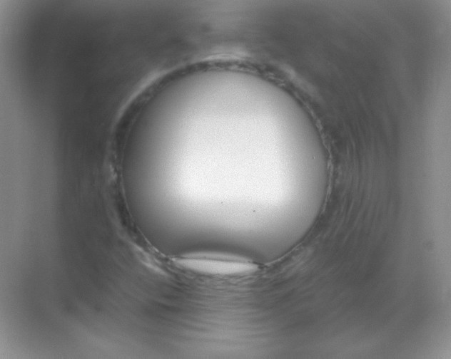 X0000068731400200605192307