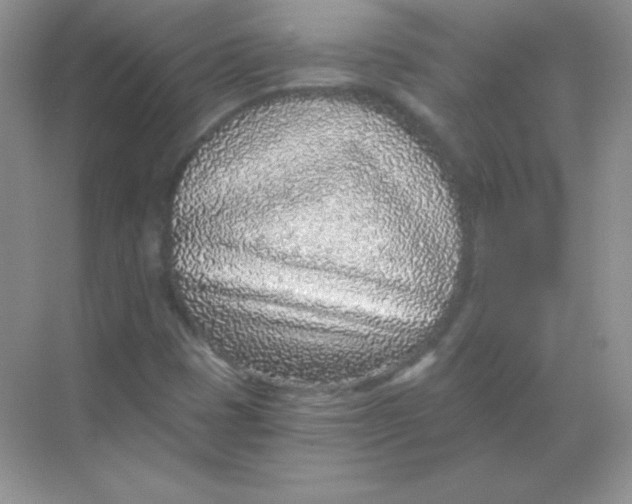 X0000068731401200605192307