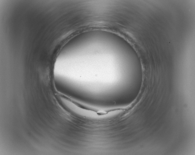 X0000068731402200605192307