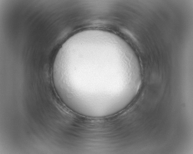 X0000068731403200605192307