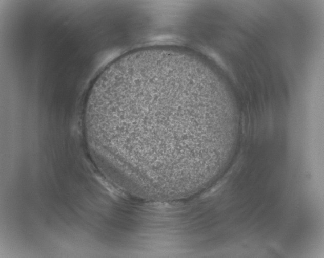 X0000068731405200605192307