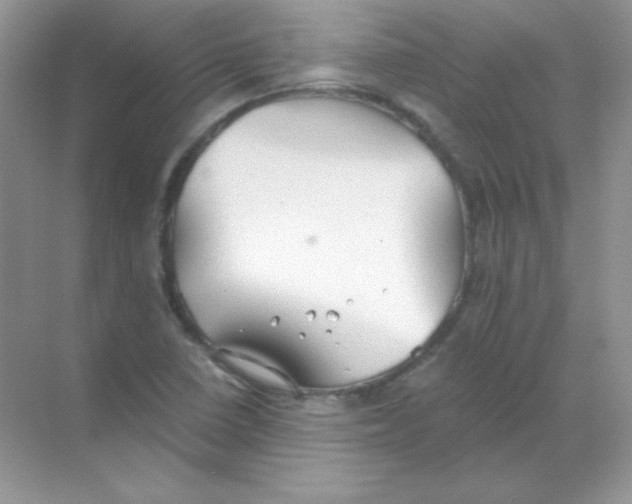 X0000068731410200605192307