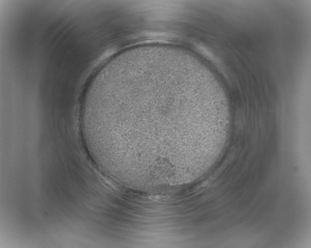 X0000068731411200605192307