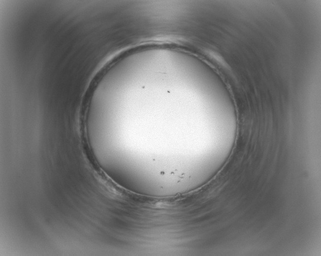 X0000068731412200605192307