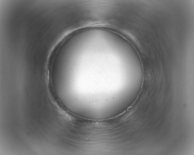 X0000068731414200605192307