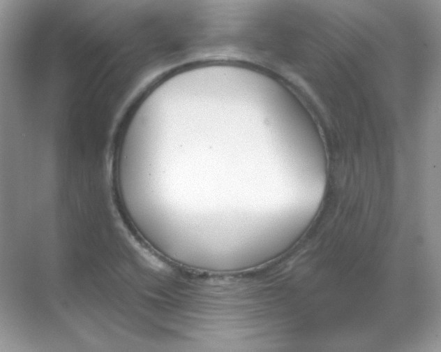 X0000068731416200605192307