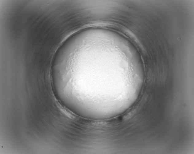 X0000068731417200605192307