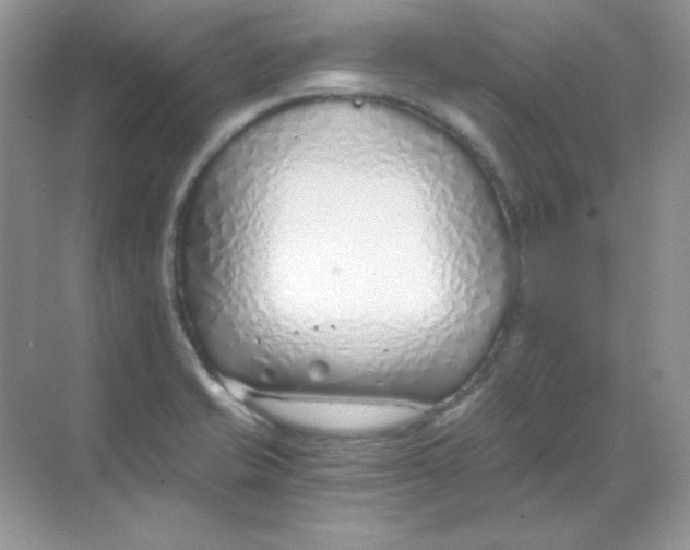 X0000068731421200605192307