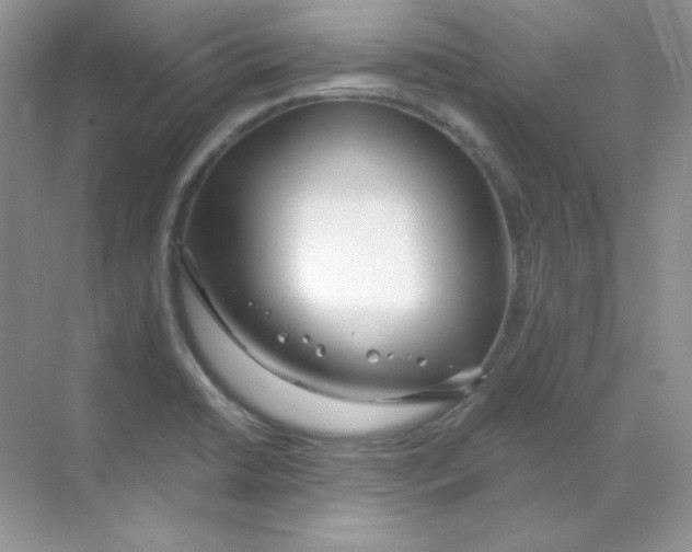 X0000068731422200605192307