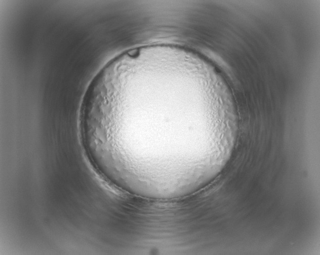 X0000068731423200605192307