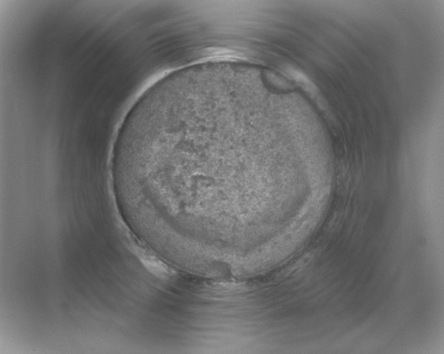 X0000068731427200605192307