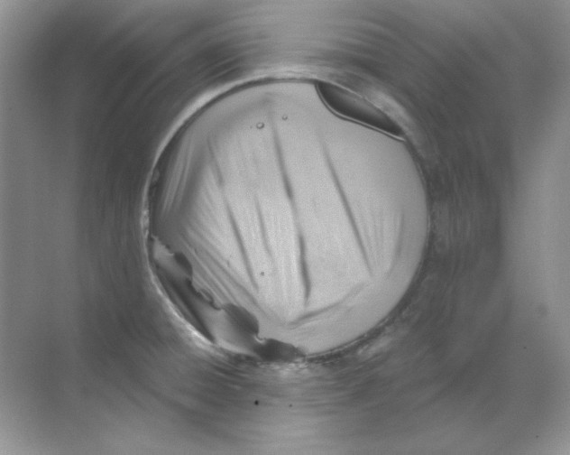 X0000068731428200605192307