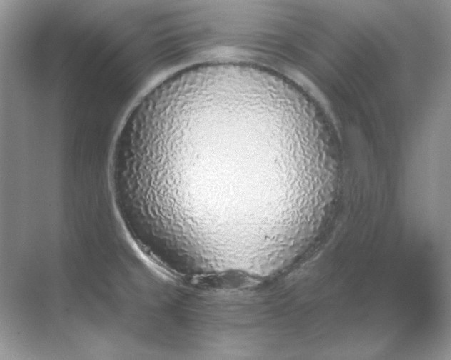 X0000068731429200605192307