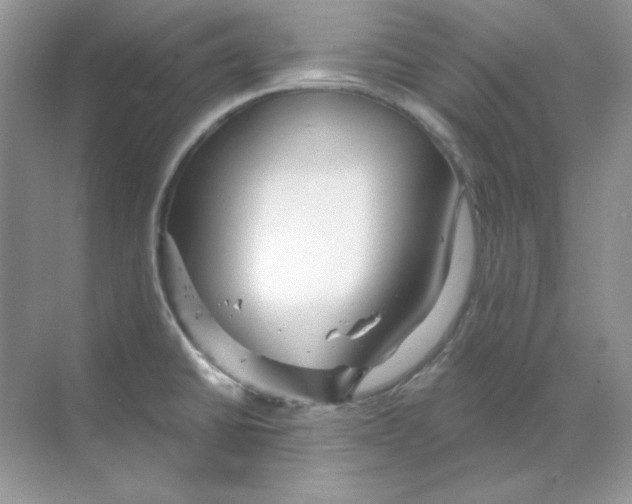 X0000068731430200605192307