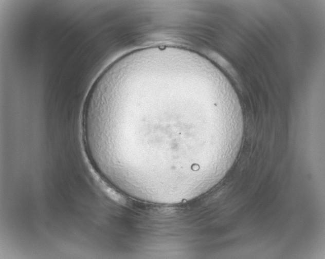 X0000068731431200605192307