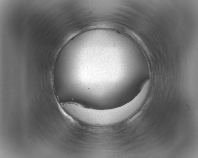 X0000068731433200605192307