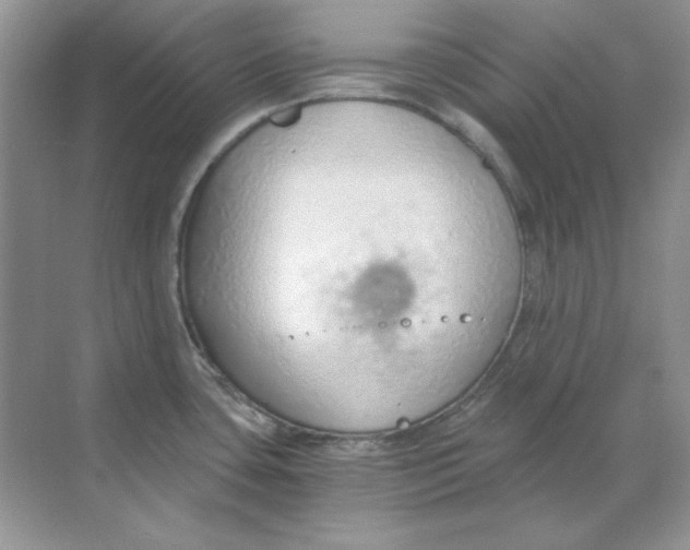 X0000068731435200605192308