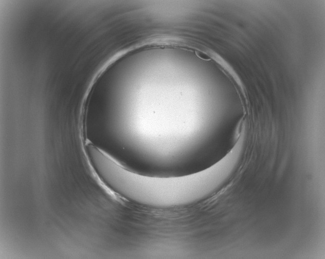 X0000068731437200605192308