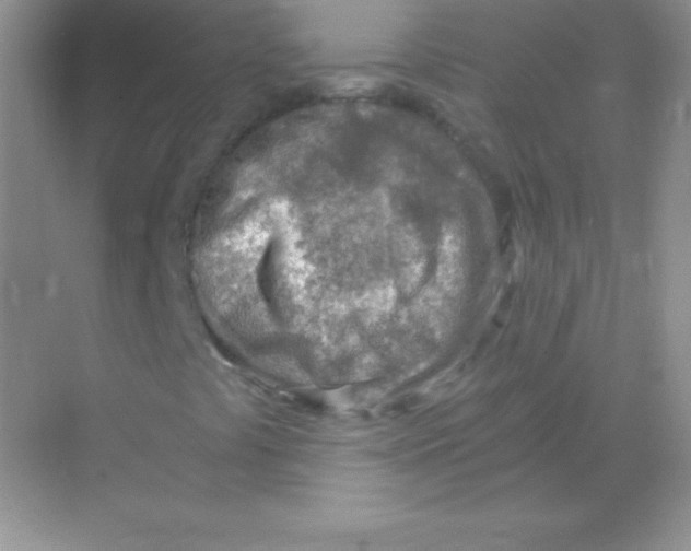 X0000068731441200605192307