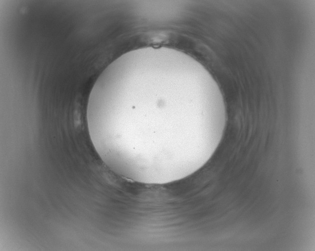 X0000068731442200605192307