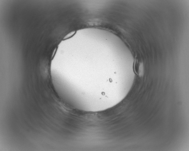 X0000068731444200605192307