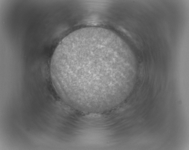 X0000068731446200605192307