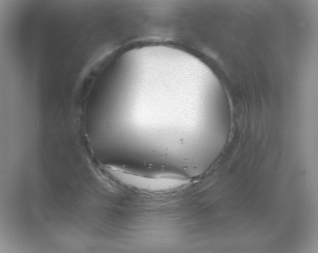 X0000068731448200605192307