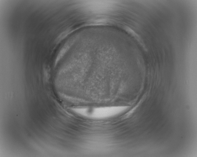 X0000068731449200605192307