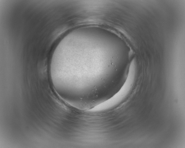 X0000068731450200605192307