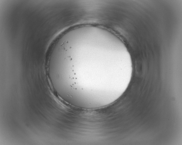 X0000068731452200605192307