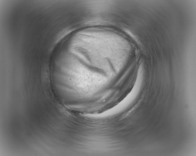 X0000068731453200605192307