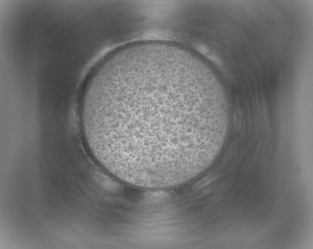 X0000068731454200605192307