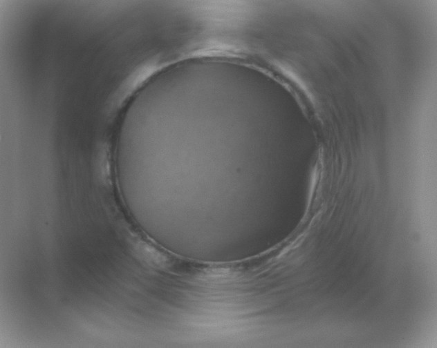 X0000068731455200605192307