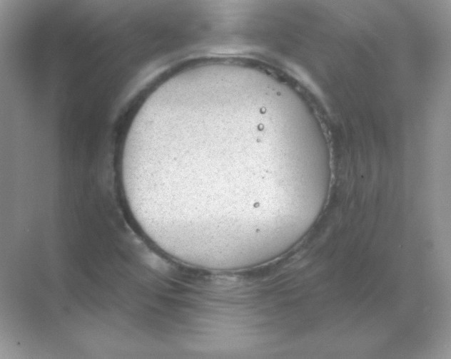 X0000068731456200605192307