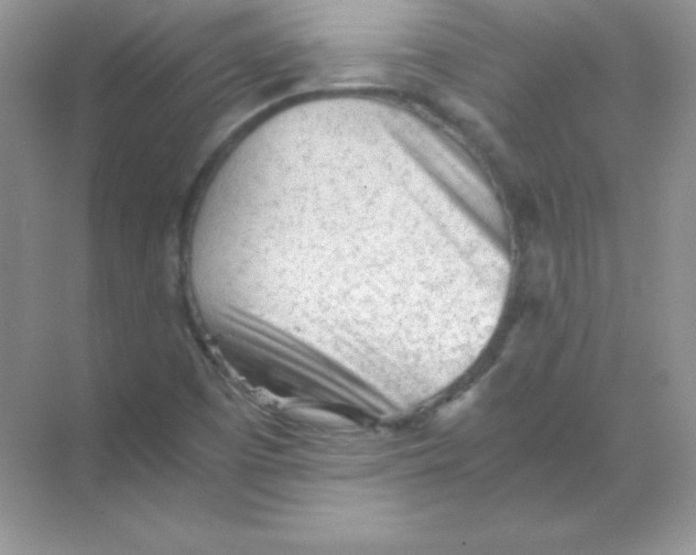 X0000068731457200605192307